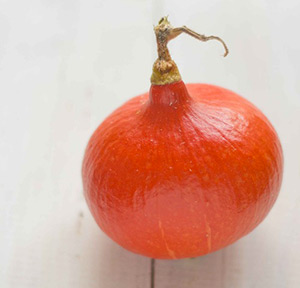 potimarron