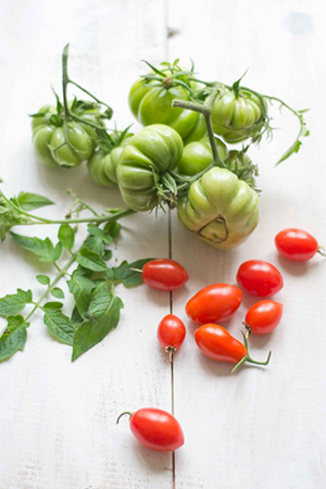 tomates
